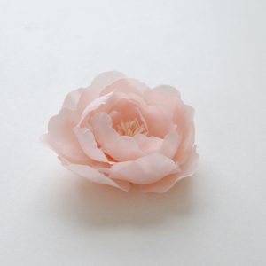 Le modèle Camelia rose