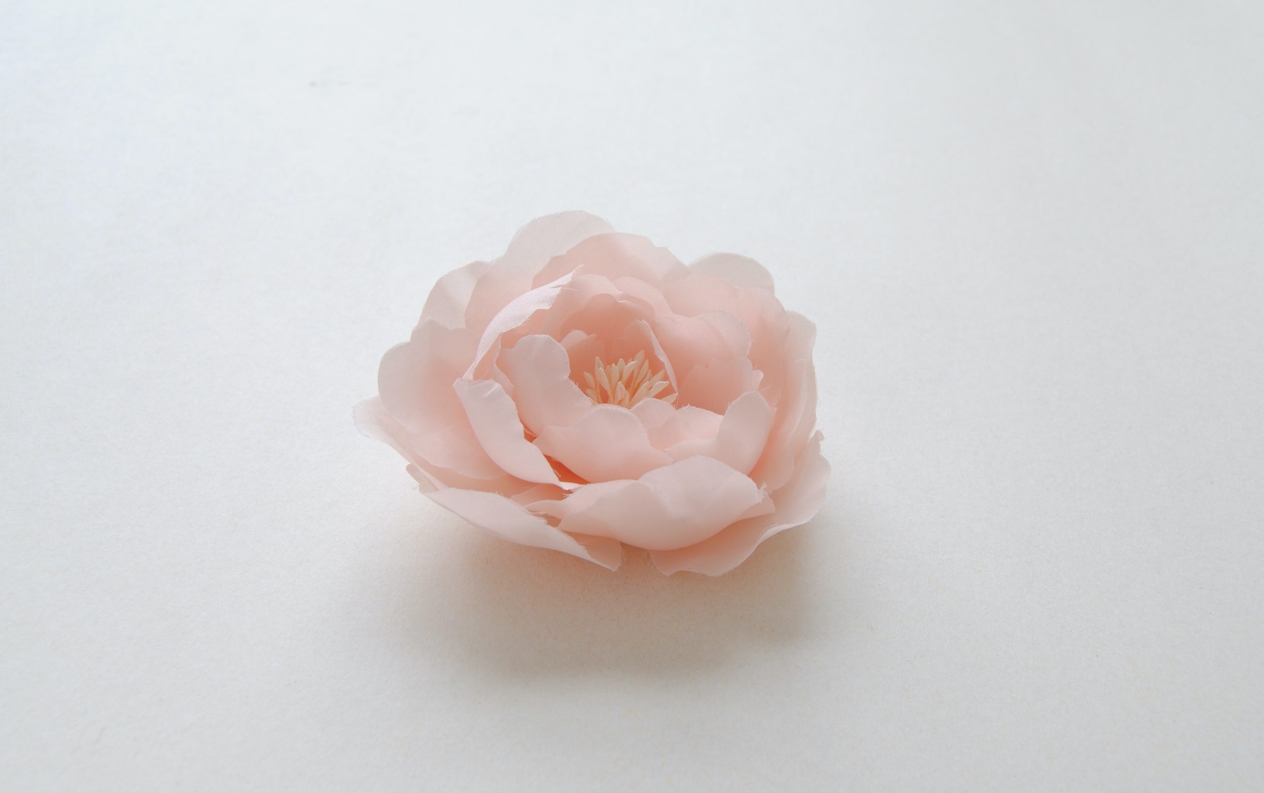 Le modèle Camelia rose