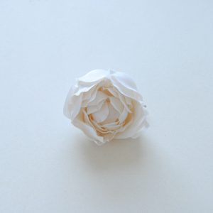 Le modèle Pivoine blanc