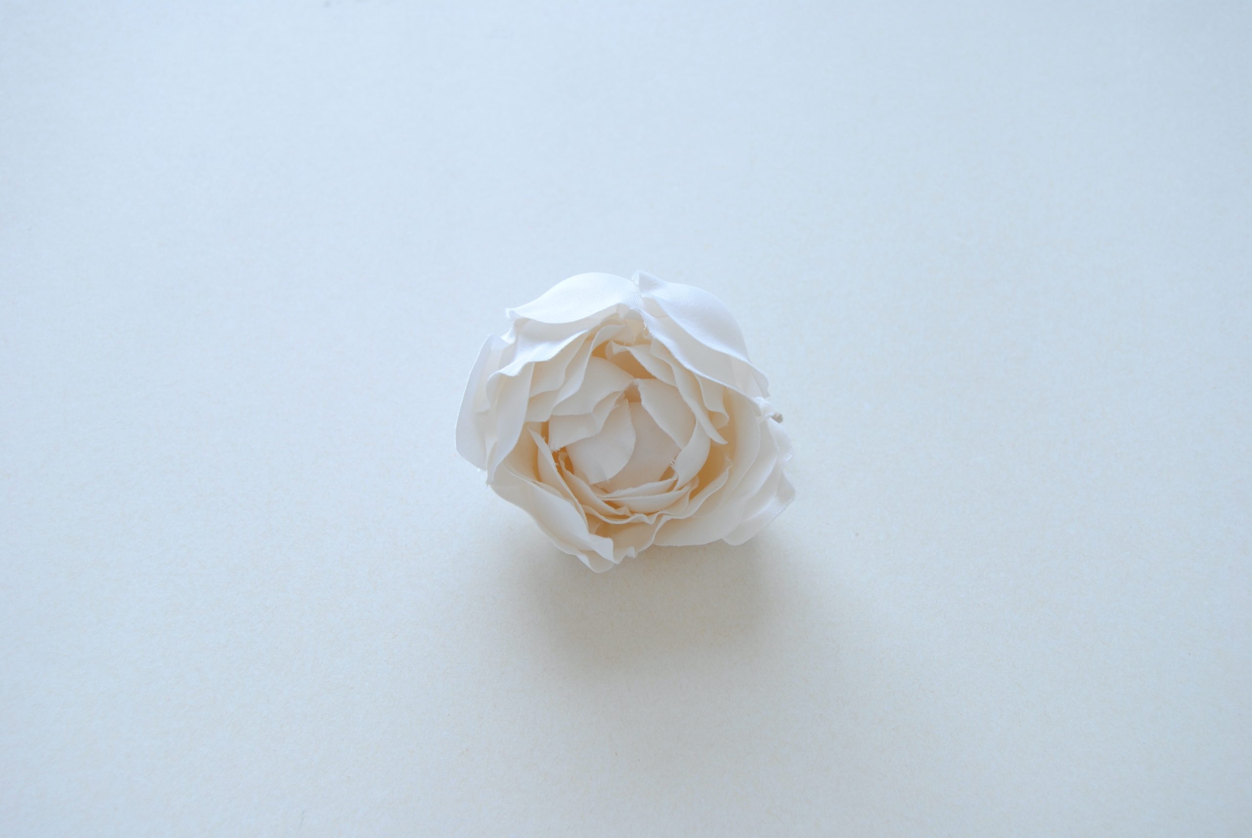Le modèle Pivoine blanc