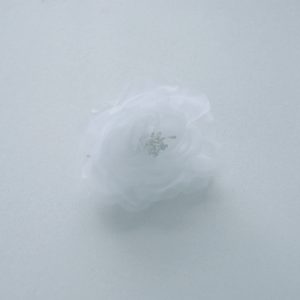 Le modèle Rose blanche